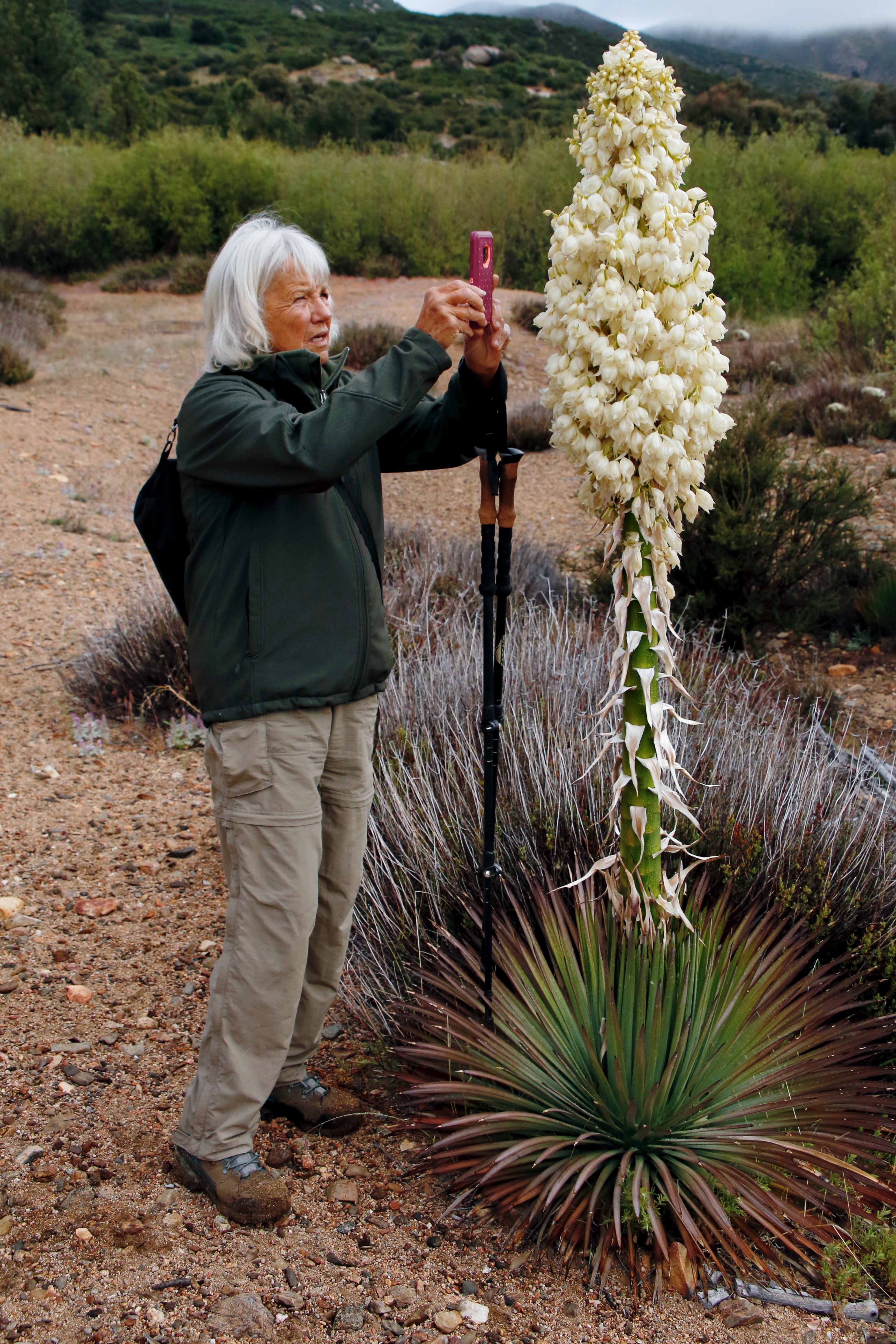 Colorado D- Cathy Harlow